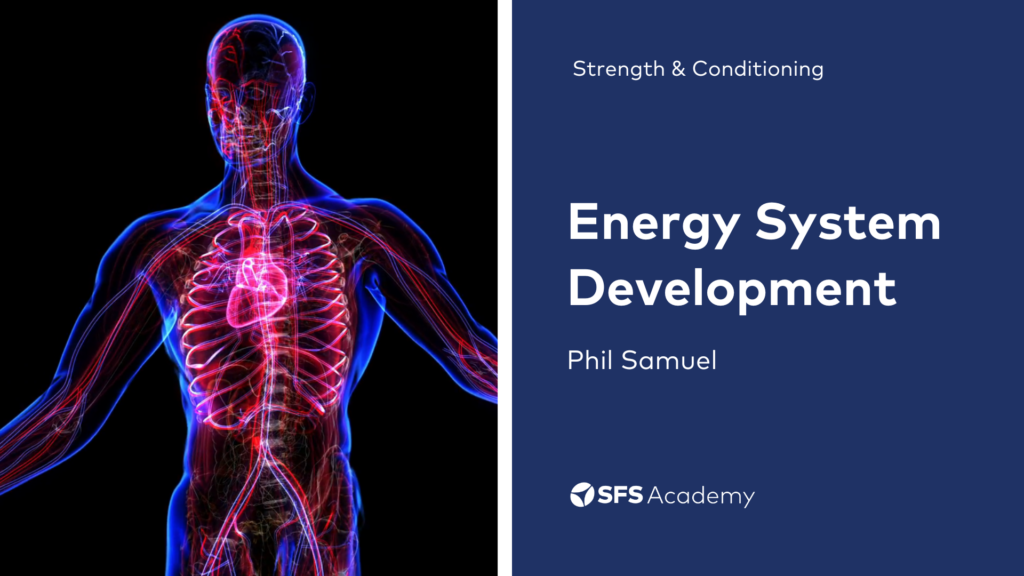 Energy System Development