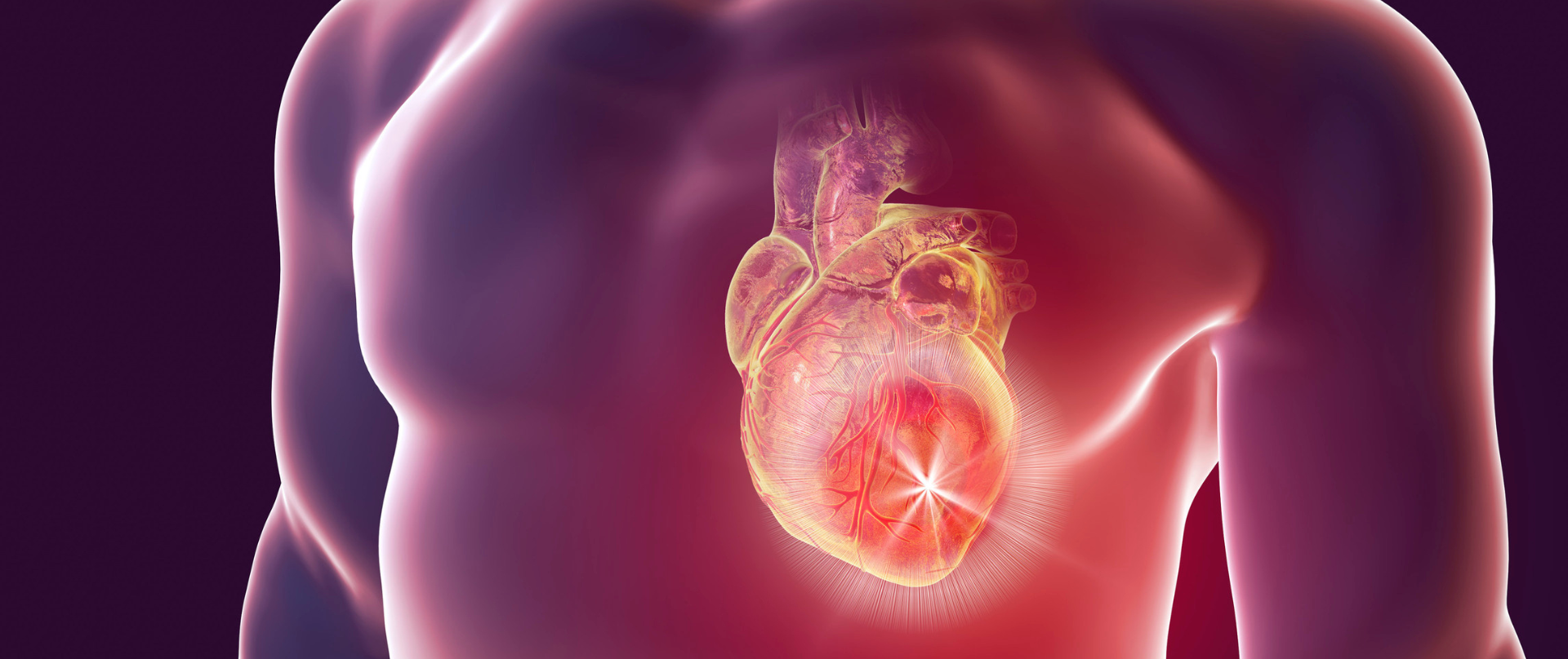 Cardiovascular Diseases Featured Image
